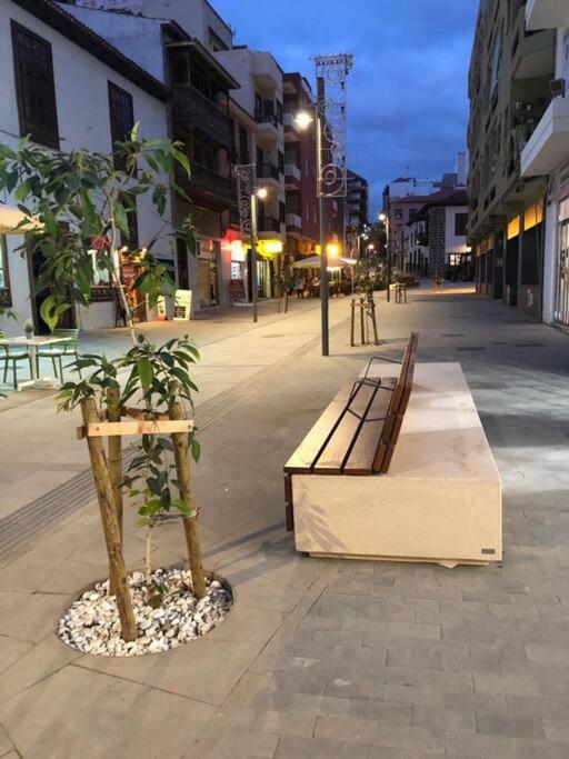 Estudio Con Amplia Terraza En Puerto De La Cruz Экстерьер фото